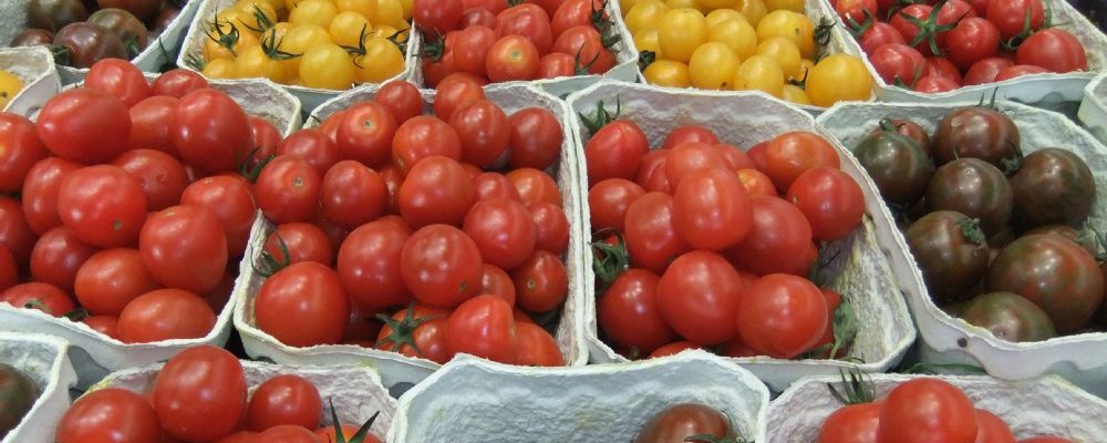 Verschiedene Tomaten in Pappschalen