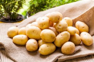 Rohe Kartoffeln auf einem Kartoffelsack